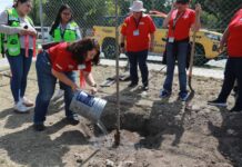 Fortalece Javier Díaz acciones de reforestación en Colinas del Sur