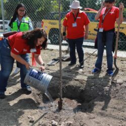 Fortalece Javier Díaz acciones de reforestación en Colinas del Sur