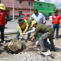 Fortalece Javier Díaz acciones de reforestación en Colinas del Sur1