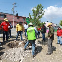 Fortalece Javier Díaz acciones de reforestación en Colinas del Sur2