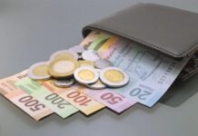 Ganan 24% más los hombres que las mujeres: CEEY
