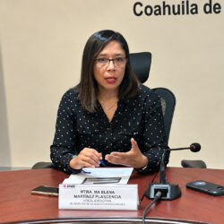 INE llama