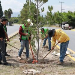 Impulsa Javier Díaz reforestación y limpieza de arroyos