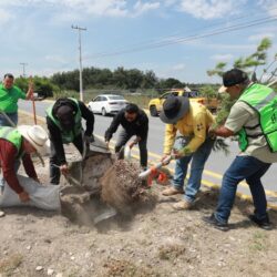Impulsa Javier Díaz reforestación y limpieza de arroyos2