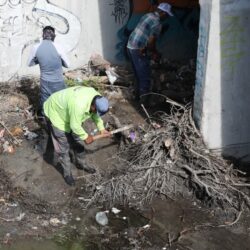 Impulsa Javier Díaz reforestación y limpieza de arroyos6