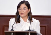 Integrar la prevención y control de rickettsiosis en la ley, plantea Edith Hernández