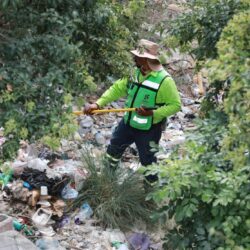 Intensifica Javier Díaz limpieza y deshierbe del arroyo Pereyra