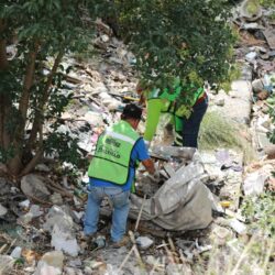 Intensifica Javier Díaz limpieza y deshierbe del arroyo Pereyra1
