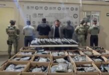 Interceptan en Saltillo droga que iba a Monterrey