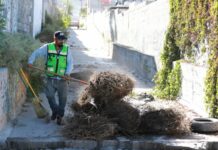 Interviene Javier Díaz arroyo y puente peatonal en Las Teresitas