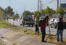 Interviene Javier Díaz espacios públicos en el Centro Metropolitano