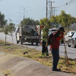 Interviene Javier Díaz espacios públicos en el Centro Metropolitano