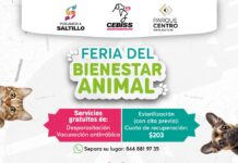 Invita el CEBISS a la Feria del Bienestar Animal