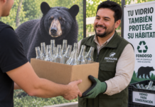 Invitan a bares y restaurantes de Saltillo y Ramos Arizpe a donar vidrio para proteger al oso negro