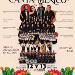 Llevarán más de 200 artistas al escenario con