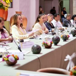 Presenta Luly López a nivel nacional Espacios DIF como experiencia exitosa1