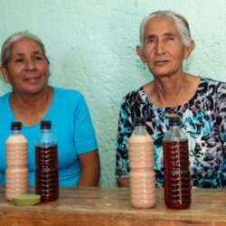 Quieres participar en los talleres del DIF Saltillo3