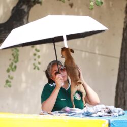 Realiza Municipio Feria de Adopción de seres sintientes1