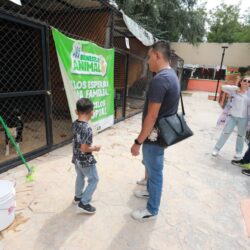 Realiza Municipio Feria de Adopción de seres sintientes4