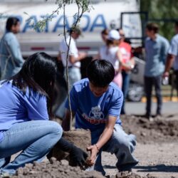 Reforestación es permanente en Saltillo3