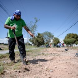 Reforestación es permanente en Saltillo4