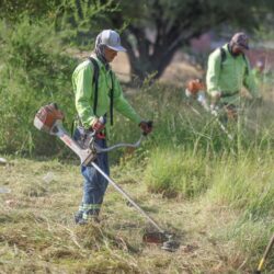 Supervisa Javier Díaz brigada de embellecimiento3