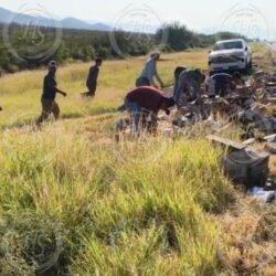Vuelca tráiler cargado de cerveza en la Saltillo-Torreón; se registra rapiña2