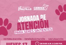 Acerca Gobierno de Saltillo servicios para el bienestar de los seres sintientes