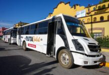 Arranca Ruta Ejidal en Ramos Arizpe con 60% de ocupación en su primer día