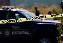 Bajan 53% los homicidios en México; agosto registra mínimo en 12 años