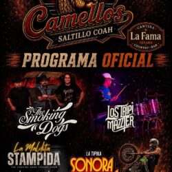 camellos 2