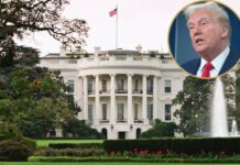 CNN y otros medios demandan a Trump por vetarlos de la Casa Blanca