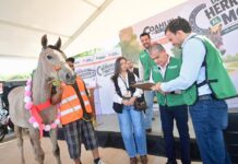 “De la Herradura al Motor”: Riquelme transforma condiciones de vida de carromateros