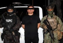 Detienen a operador de ‘Los Chapitos’ en Mazatlán