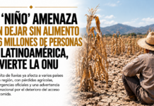 El ‘Niño’ amenaza con dejar sin alimento a 16 millones de personas en Latinoamérica, advierte la ONU