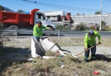 Gobierno de Saltillo mete mano y limpieza al arroyo Nueva Imagen