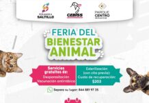 Habrá este sábado 3 de octubre Feria de Bienestar Animal en el estacionamiento de Parque Centro