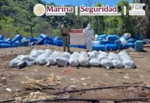Inhabilita Marina segundo mayor narcolaboratorio del sexenio