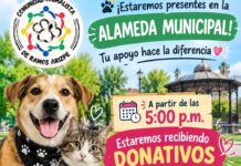 Invitan a apoyar a perros y gatos de la calle este domingo en Ramos Arizpe