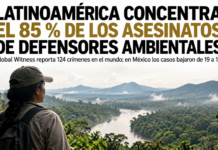 Latinoamérica concentra el 85 % de los asesinatos de defensores ambientales, señala un reciente informe de ONG.