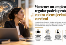 Mantener un empleo regular podría proteger contra el envejecimiento cerebral