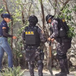 policias 4