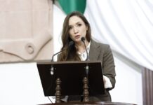 Propone Edna Dávalos programas de atención integral a población canina sin dueño en zonas rurales