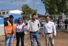 Reforestan Villas de Santa María con más de 100 árboles; participan 300 jóvenes