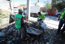 Refuerza Javier Díaz limpieza de arroyo en la Zona Centro