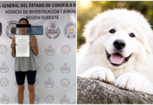 Seguirá Liliana “N” en prisión por muerte de Rocky