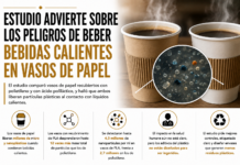 Un nuevo estudio advierte sobre los peligros de beber bebidas calientes en vasos de papel
