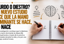 ¿Zurdo o diestro? Un nuevo estudio dice que la mano dominante se hace, no nace