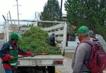 Mantiene Ramos Arizpe trabajos de limpieza en colonias y espacios públicos