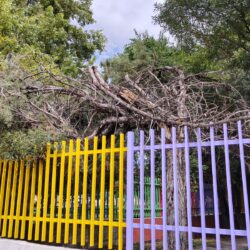 A merced de adictos y malvivientes jardín de niños “Severino Calderón” de la colonia República Poniente3